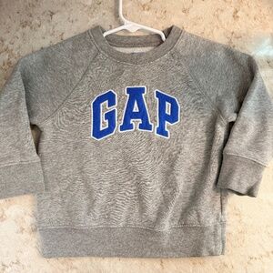 Gap Sweater